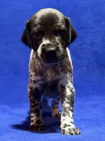 processed/6ed4dc9a-28f3-4b9d-83ac-f978b73d3fe9/listing/7db726bf-b6be-4307-8899-3db4a9ea82aa/78f13444-ce83-4589-a7bf-1652a2560dc6