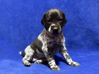 processed/6ed4dc9a-28f3-4b9d-83ac-f978b73d3fe9/listing/7db726bf-b6be-4307-8899-3db4a9ea82aa/d6e45f9f-81fb-4d45-a5b9-4582035fa747