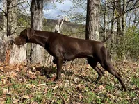 processed/6ed4dc9a-28f3-4b9d-83ac-f978b73d3fe9/listing/7e98f53e-4779-474a-8319-d3c787d9934d/3b39ba2f-eabc-4ba1-a2c1-1a689ff48f77