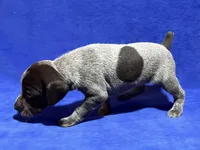 processed/6ed4dc9a-28f3-4b9d-83ac-f978b73d3fe9/listing/7e98f53e-4779-474a-8319-d3c787d9934d/80fe16c9-e202-4cc2-90c7-70df8f81c18c