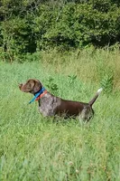 processed/6ed4dc9a-28f3-4b9d-83ac-f978b73d3fe9/listing/7e98f53e-4779-474a-8319-d3c787d9934d/9e22464e-1b1e-4880-a59c-7c8a2d06e604