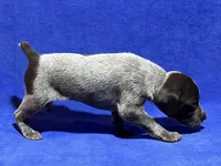 processed/6ed4dc9a-28f3-4b9d-83ac-f978b73d3fe9/listing/7e98f53e-4779-474a-8319-d3c787d9934d/c667f262-21ea-47a7-9ede-4988f53ab18d