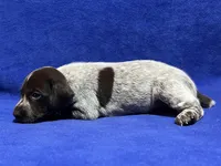 processed/6ed4dc9a-28f3-4b9d-83ac-f978b73d3fe9/listing/badda3ac-fa0e-431e-aac1-1c6cd69c7df9/56c57101-fdf9-4401-85d9-d48e82e4e751