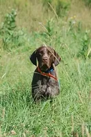 processed/6ed4dc9a-28f3-4b9d-83ac-f978b73d3fe9/listing/badda3ac-fa0e-431e-aac1-1c6cd69c7df9/ce363590-b025-4662-952a-5d362618624e