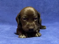 processed/6ed4dc9a-28f3-4b9d-83ac-f978b73d3fe9/listing/c4f5e48c-1a0d-49ee-b1f9-b6492cef5199/25b21ed4-955b-46ff-a252-61c4dd92ab3e