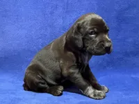 processed/6ed4dc9a-28f3-4b9d-83ac-f978b73d3fe9/listing/c4f5e48c-1a0d-49ee-b1f9-b6492cef5199/2616db83-10ea-46d3-8fc5-b72a12e6d1eb