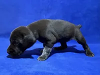 processed/6ed4dc9a-28f3-4b9d-83ac-f978b73d3fe9/listing/c4f5e48c-1a0d-49ee-b1f9-b6492cef5199/c10af498-1a77-4311-b03f-c4763a519214