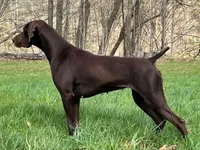 processed/6ed4dc9a-28f3-4b9d-83ac-f978b73d3fe9/listing/c4f5e48c-1a0d-49ee-b1f9-b6492cef5199/cde49fd7-a13f-468d-adc1-46efdb7b8221