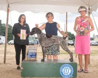 processed/6ed4dc9a-28f3-4b9d-83ac-f978b73d3fe9/listing/dafae5df-263f-4585-9f79-968f773782a0/4c3ef455-b339-4e1a-bb74-359c993d18ff