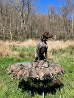 processed/6ed4dc9a-28f3-4b9d-83ac-f978b73d3fe9/listing/dafae5df-263f-4585-9f79-968f773782a0/4e5d7ca9-8ff3-4f25-a1c2-827f6e455d4a