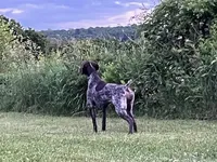 processed/6ed4dc9a-28f3-4b9d-83ac-f978b73d3fe9/listing/dafae5df-263f-4585-9f79-968f773782a0/aa763c01-8776-4dbd-a5d0-7e80855c0ec0