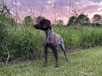 processed/6ed4dc9a-28f3-4b9d-83ac-f978b73d3fe9/listing/dafae5df-263f-4585-9f79-968f773782a0/fbe42920-19dd-4bae-ba27-78dd0a9eb3f0