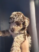 processed/6ed86215-3c2d-406c-94cf-e5a07d3d4ad9/listing/c95d74dd-d970-44f5-ac18-314133269a9a/27963432-61cf-4f00-95e8-3d83f82bb1ba