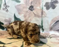 processed/6ed86215-3c2d-406c-94cf-e5a07d3d4ad9/listing/c95d74dd-d970-44f5-ac18-314133269a9a/94eda5da-47fb-480d-9b22-9d779a9e2292