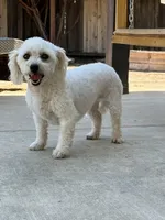 processed/6ee03c66-b51c-4246-9413-353739723965/listing/caf37f01-8493-4b2b-b5ff-45047c3d835e/eb525f03-5c22-4cb7-9952-ca5d3a25c5cf