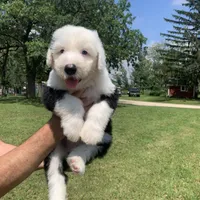 processed/6ee6a47b-4acc-4d0d-8aae-5988bb693223/facility/e4f60700-4332-4b1e-bb2a-bc189ded4771