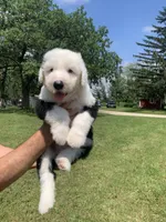 processed/6ee6a47b-4acc-4d0d-8aae-5988bb693223/facility/e4f60700-4332-4b1e-bb2a-bc189ded4771