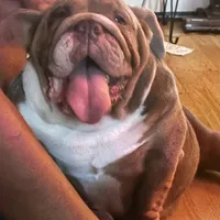 processed/6ef59d22-6c70-4f73-a738-cd00d20c0cc0/facility/0b353131-e441-4f70-b836-f16306f0bf3c