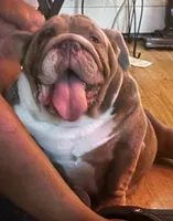 processed/6ef59d22-6c70-4f73-a738-cd00d20c0cc0/facility/0b353131-e441-4f70-b836-f16306f0bf3c