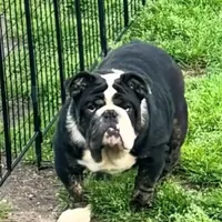 processed/6ef59d22-6c70-4f73-a738-cd00d20c0cc0/facility/1bdc9423-5107-4b3f-85d8-f6608e7e4949