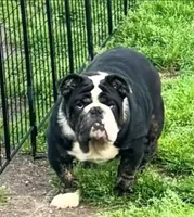 processed/6ef59d22-6c70-4f73-a738-cd00d20c0cc0/facility/1bdc9423-5107-4b3f-85d8-f6608e7e4949