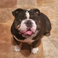 processed/6ef59d22-6c70-4f73-a738-cd00d20c0cc0/facility/1df6c968-080a-4f5d-bdf7-5f620c598a80