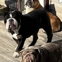 processed/6ef59d22-6c70-4f73-a738-cd00d20c0cc0/facility/647fa3fe-c0e5-493e-8b18-44d0f98a0e1f