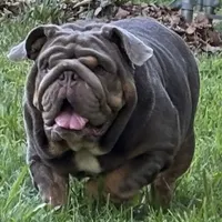 processed/6ef59d22-6c70-4f73-a738-cd00d20c0cc0/facility/8b7988c6-668d-45f3-9d7c-af56065ae84a