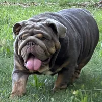 processed/6ef59d22-6c70-4f73-a738-cd00d20c0cc0/facility/ddd824af-ef7c-407a-add0-9c6564814f3b