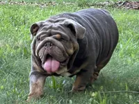 processed/6ef59d22-6c70-4f73-a738-cd00d20c0cc0/facility/ddd824af-ef7c-407a-add0-9c6564814f3b