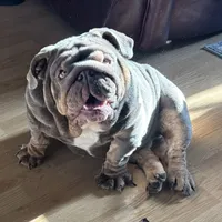 processed/6ef59d22-6c70-4f73-a738-cd00d20c0cc0/facility/e17d3f64-bc98-4fce-a81c-ddc1ca97f2e4