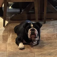 processed/6ef59d22-6c70-4f73-a738-cd00d20c0cc0/facility/e7bb15a1-01c6-4efa-8557-9ff8d139c107