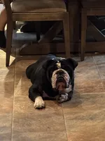 processed/6ef59d22-6c70-4f73-a738-cd00d20c0cc0/facility/e7bb15a1-01c6-4efa-8557-9ff8d139c107