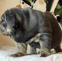 processed/6ef59d22-6c70-4f73-a738-cd00d20c0cc0/listing/01889298-ca98-4d9c-ac24-7a13c48b32ea/0d1985ee-c56c-4420-be17-5c174ffcfeff