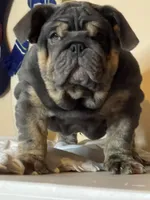 processed/6ef59d22-6c70-4f73-a738-cd00d20c0cc0/listing/01889298-ca98-4d9c-ac24-7a13c48b32ea/205fb05c-a54c-4de2-89eb-6ff0d8afbd2c