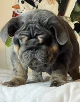 processed/6ef59d22-6c70-4f73-a738-cd00d20c0cc0/listing/01889298-ca98-4d9c-ac24-7a13c48b32ea/ac309e34-4e29-4346-906e-9a8efe88e27a