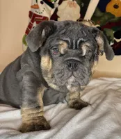 processed/6ef59d22-6c70-4f73-a738-cd00d20c0cc0/listing/01889298-ca98-4d9c-ac24-7a13c48b32ea/f89c8497-4836-4e2c-9883-bd9c6ce2e8b1