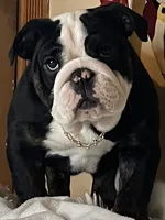 processed/6ef59d22-6c70-4f73-a738-cd00d20c0cc0/listing/57da2c9b-e067-495c-ab3a-8d6a87c4e2ec/0bd5f65d-053b-41ae-a00c-57faf63d9cad