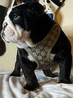 processed/6ef59d22-6c70-4f73-a738-cd00d20c0cc0/listing/57da2c9b-e067-495c-ab3a-8d6a87c4e2ec/77348041-7fff-461f-890b-5615d9e8f33f