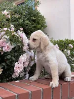 processed/6ef98195-261b-481d-a425-8c32735769e4/facility/7704b044-1e7b-4338-80a3-8e94788db475