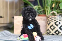 processed/6efb1fcc-8855-4303-8c8a-01084bdd7b48/listing/03c39a1e-3419-4b75-9598-d49092563dd1/123c3505-1797-459e-83a6-af6e2eb136f5