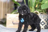 processed/6efb1fcc-8855-4303-8c8a-01084bdd7b48/listing/03c39a1e-3419-4b75-9598-d49092563dd1/8d05af49-091b-4af2-a22d-39d3679a7516