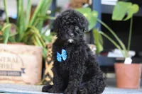 processed/6efb1fcc-8855-4303-8c8a-01084bdd7b48/listing/03c39a1e-3419-4b75-9598-d49092563dd1/dde13819-48df-43ad-bd19-d9d78a64a904