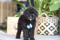 processed/6efb1fcc-8855-4303-8c8a-01084bdd7b48/listing/03c39a1e-3419-4b75-9598-d49092563dd1/e6423c60-7127-42a3-90cf-e41504520288