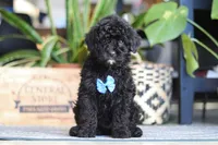 processed/6efb1fcc-8855-4303-8c8a-01084bdd7b48/listing/03c39a1e-3419-4b75-9598-d49092563dd1/ffdd0e0d-63b3-4a12-92e7-4c397d3ae9e4