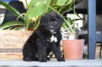 processed/6efb1fcc-8855-4303-8c8a-01084bdd7b48/listing/1a67d179-1944-4005-ae81-21acf8f99388/3b988054-50cb-4114-81be-402b8dc8d7fe