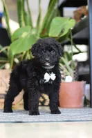 processed/6efb1fcc-8855-4303-8c8a-01084bdd7b48/listing/1a67d179-1944-4005-ae81-21acf8f99388/59852a4a-72f0-441f-afbf-2b31abaa0917