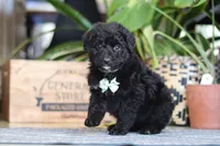 processed/6efb1fcc-8855-4303-8c8a-01084bdd7b48/listing/1a67d179-1944-4005-ae81-21acf8f99388/5e7c3921-9bcc-49e1-b7db-018daba80cdb