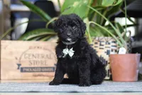 processed/6efb1fcc-8855-4303-8c8a-01084bdd7b48/listing/1a67d179-1944-4005-ae81-21acf8f99388/709c4f77-a411-4467-8400-66884c8e3b44