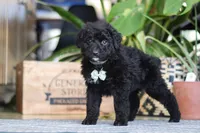 processed/6efb1fcc-8855-4303-8c8a-01084bdd7b48/listing/1a67d179-1944-4005-ae81-21acf8f99388/9481ad2c-c41c-455b-a7c1-7a80c841f097